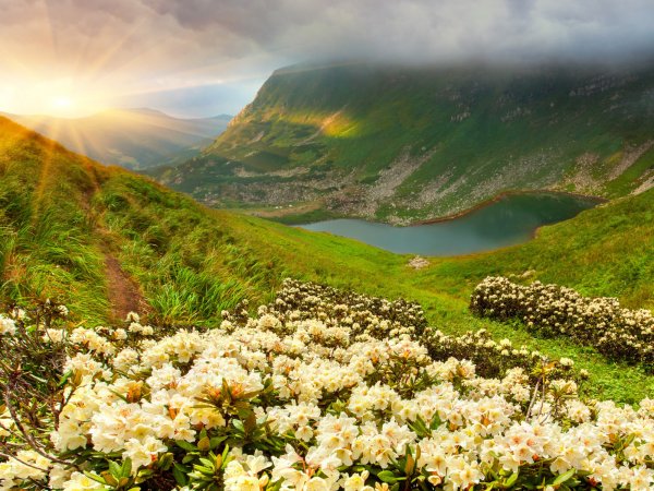 Альпийские Луга Швейцария