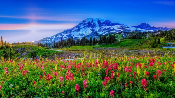 Альпийские Луга Америки