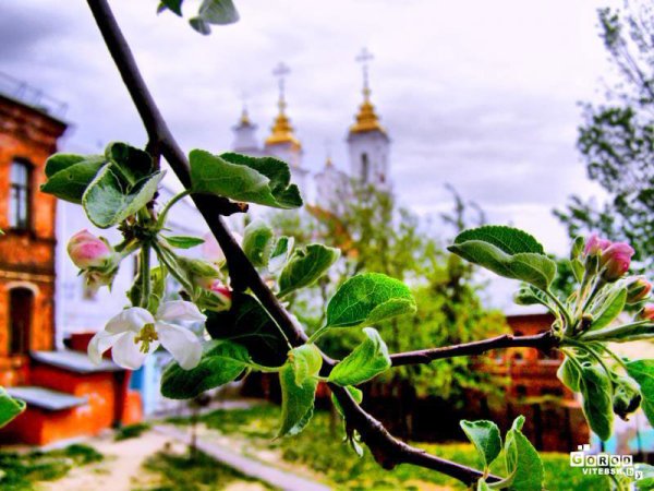 Весна в Витебске картинки