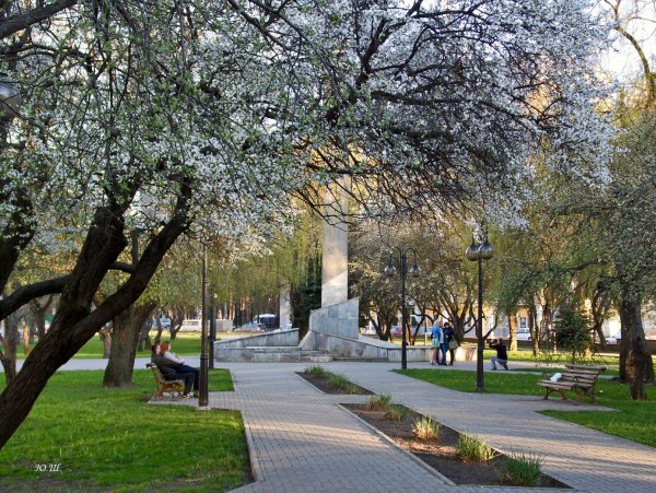 Витебский сквер Воронеж