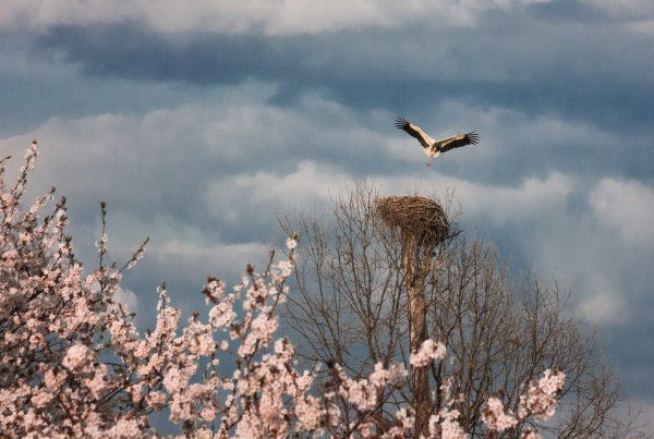 Весна в Беларуси