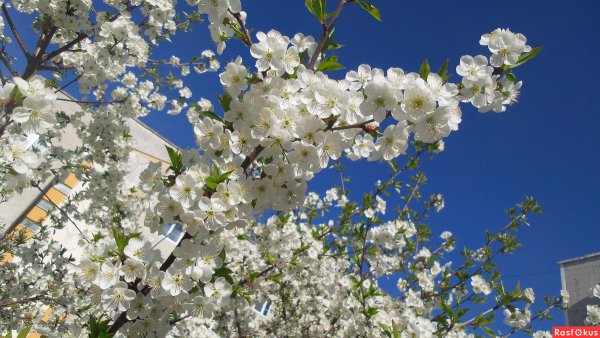 Весна в Беларуси