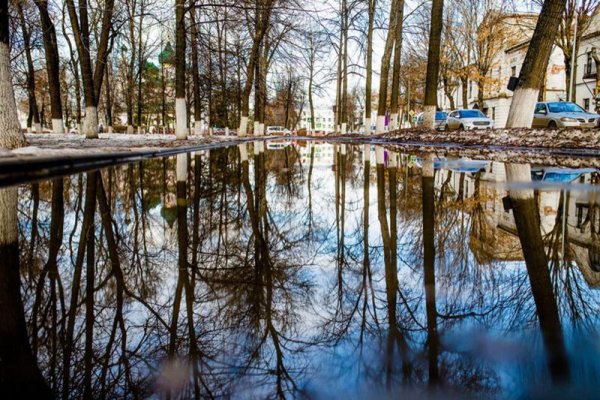 Ботанический сад Ростов март апрель