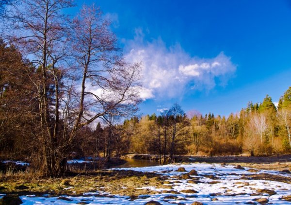 Природа России Весна