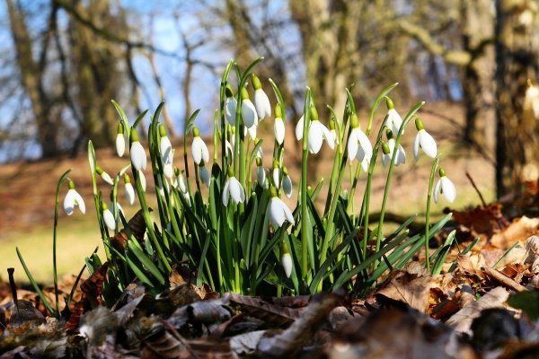 Ранняя Весна в Белоруссии