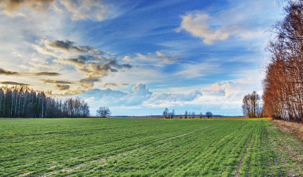 Весна в Беларуси