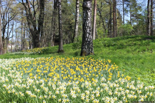 Приход весны