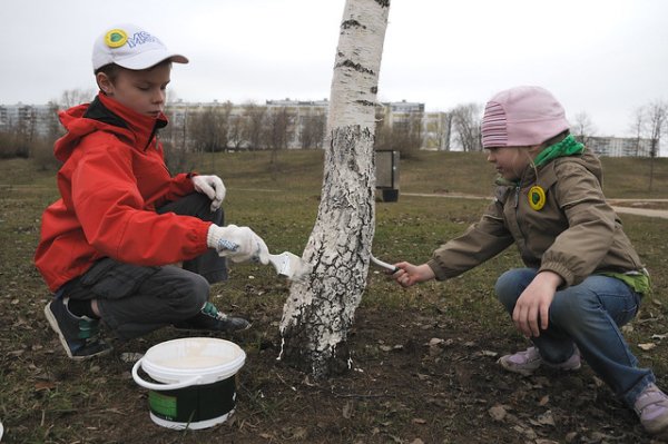 Весенние работы для детей