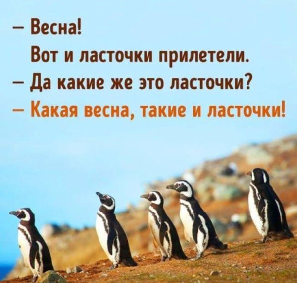 Весна вот и ласточки прилетели