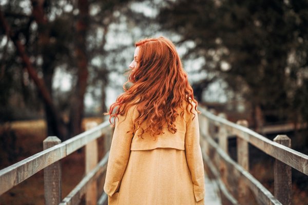 Рыжие волосы со спины