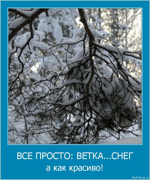 Смешные статусы про снег весной