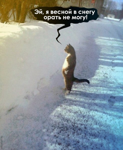 Опять снег в мае