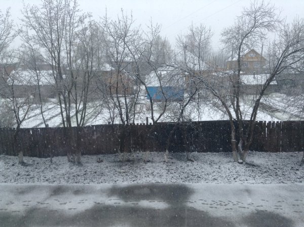 С первым снегом смешные