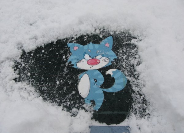 Приколы про снегопад