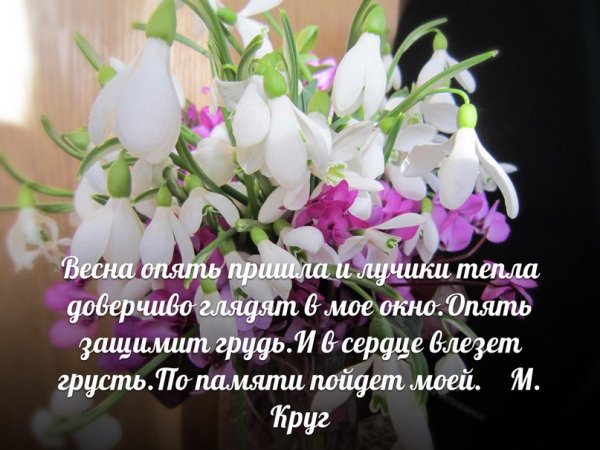 Весна опять пришла