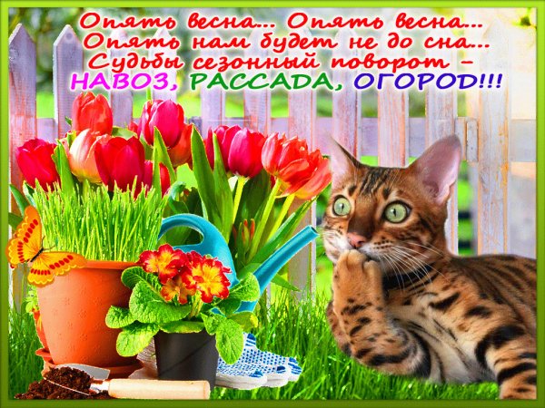 Ура снова Весна