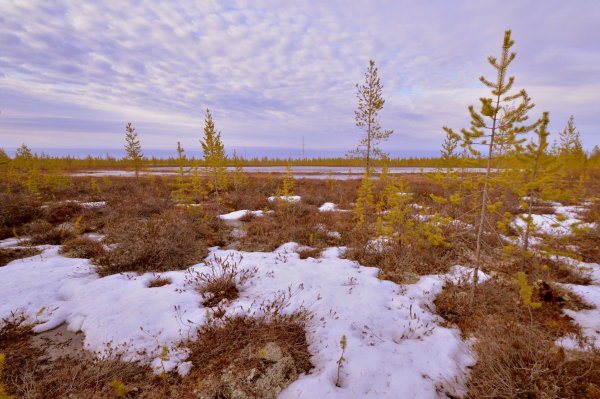 Весна на Ямале