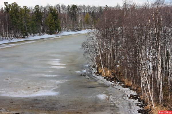 Весна на Ямале