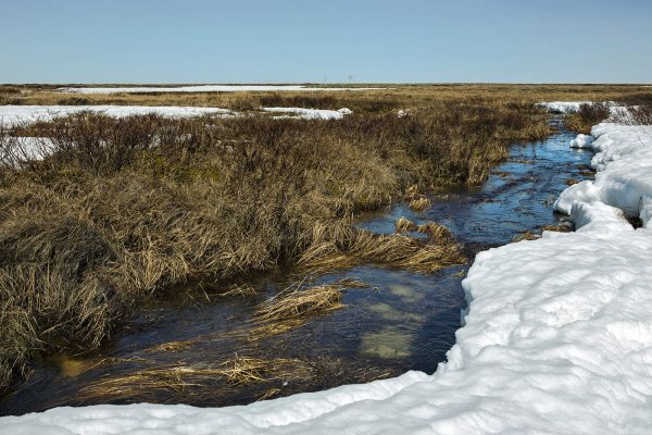 Весна на Ямале