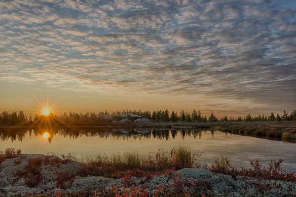 Рассвет на севере