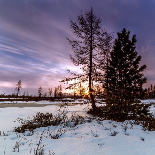 Заполярье Уренгой