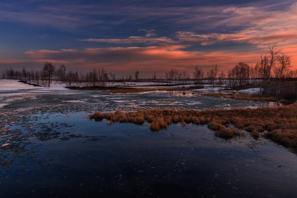 Весна на севере