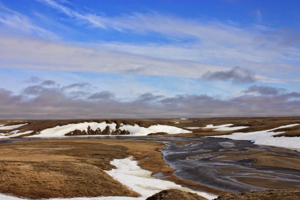 Сопки тундры Ямал