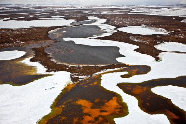 Лесотундра Ямал Весна