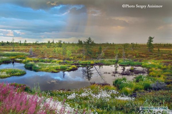 Весна на севере