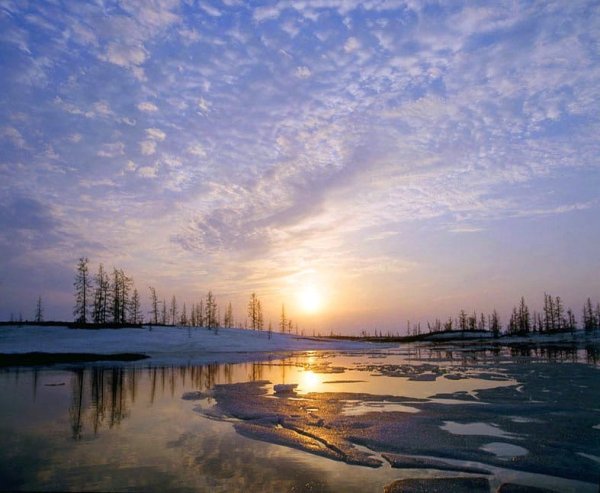 Ямал Северное лето