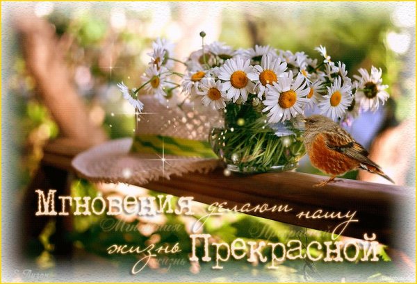 Весна стучит в окно