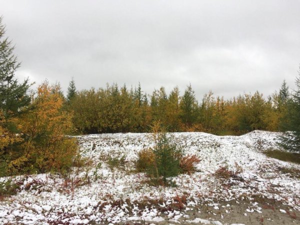 Сергей Анисимов фотограф Салехард