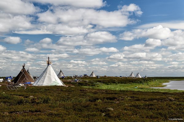 Ненцы Ямало Ненецкий автономный округ