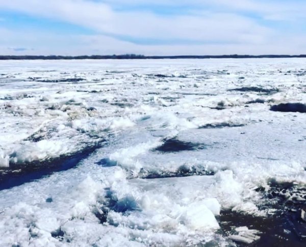 Природа Воркуты тундра