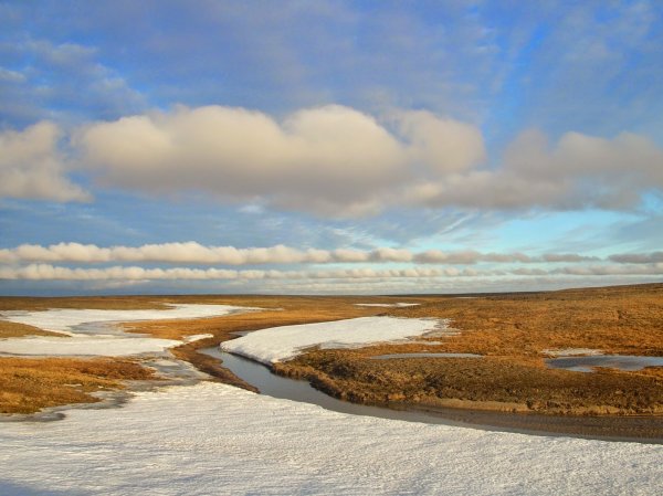 Ямал Полярный Урал