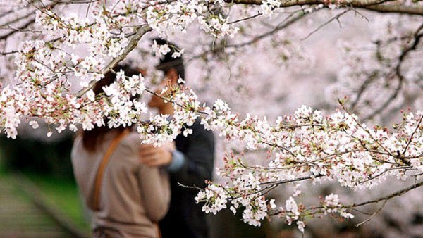 Ощущение весны