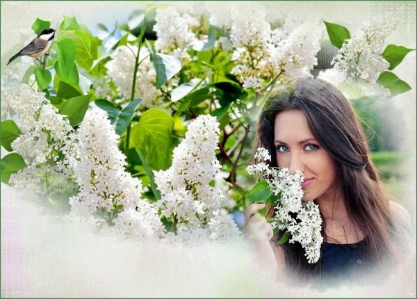 Весна прекрасная пора надпись