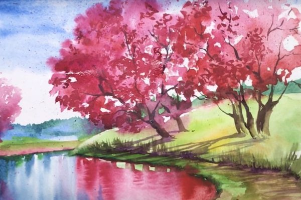 Природа для рисования красками