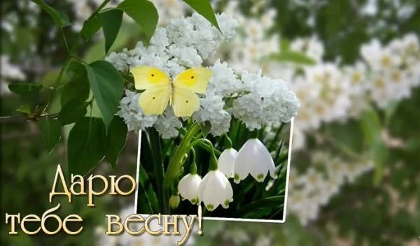Кусочек весны для тебя