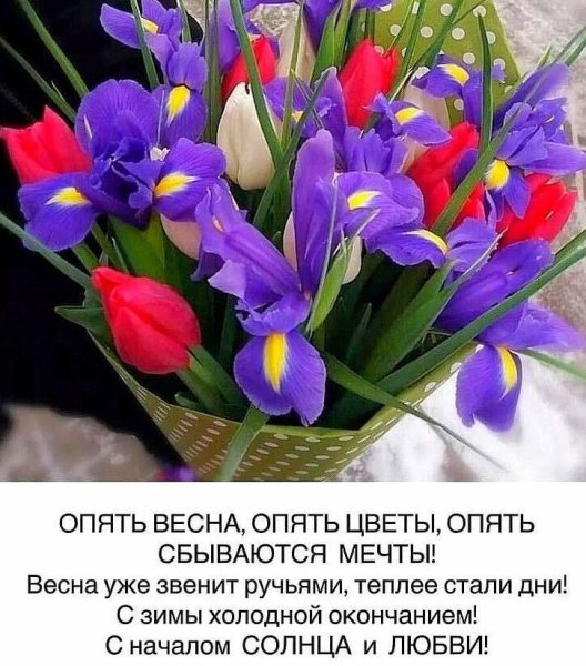 Милые добрые нежные дамы
