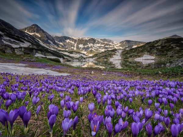 Весна природа