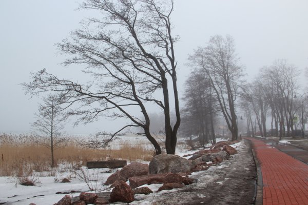 Выборг весной