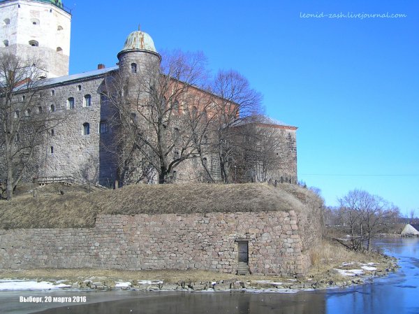 Выборг улицы 2020