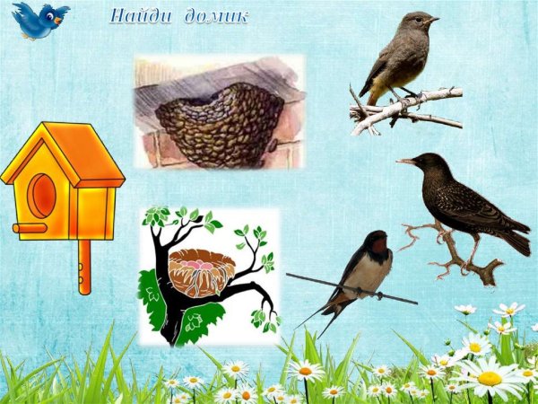 Синичкин календарь Бианки апрель