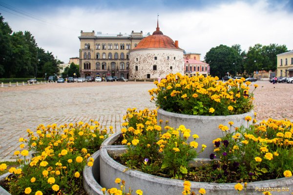 Выборгский замок Выборг осенью