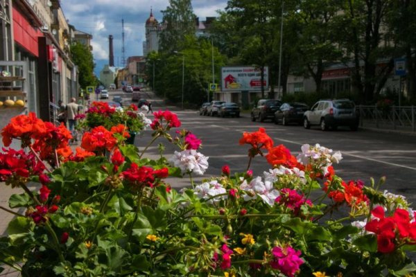 Парк Монрепо