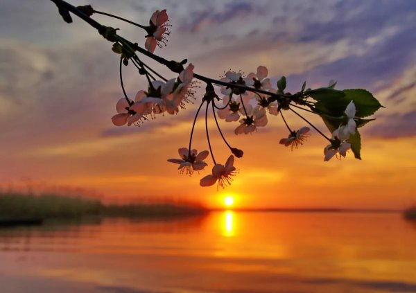 Весна вечер