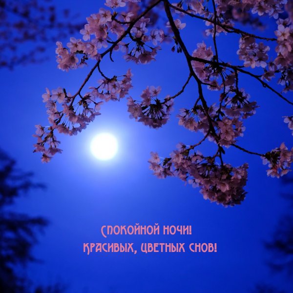 Весенняя ночь