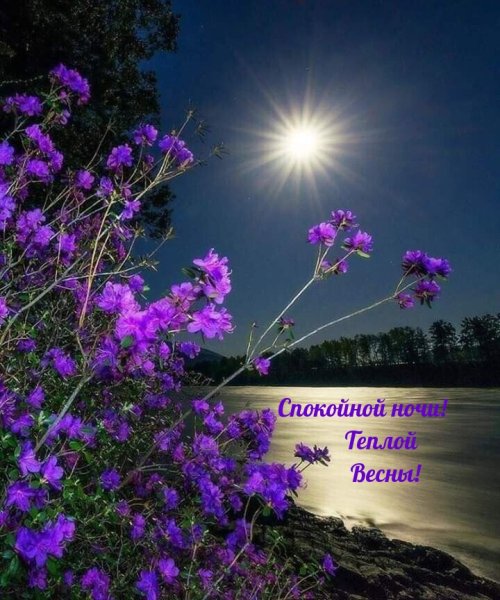Доброй весенней ночи девчонки
