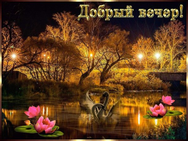 Луна и цветы